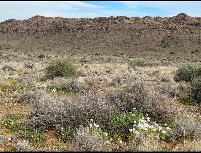 0 Bedroom Property for Sale in Williston Northern Cape